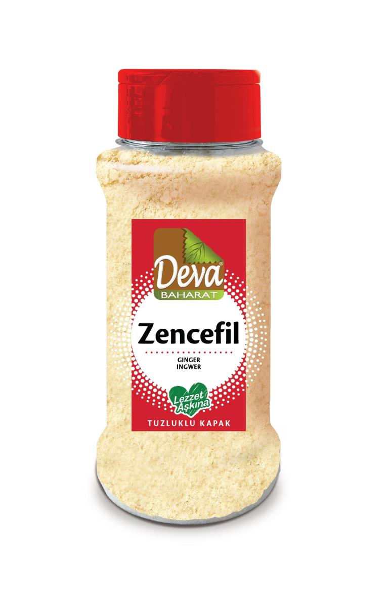 Zencefil Tuzluklu Pet